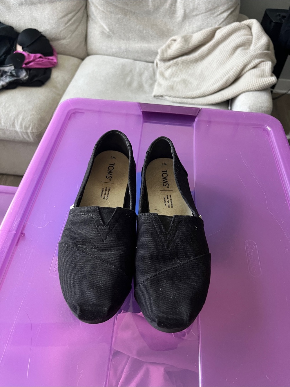 Toms size 7